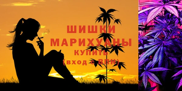 спайс Костерёво